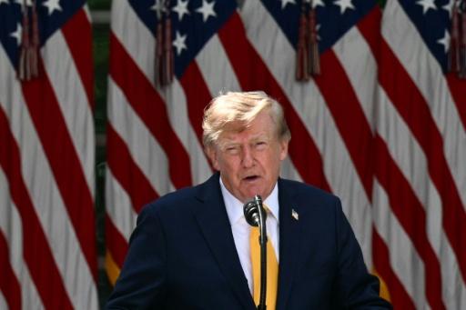 El presidente de EEUU, Donald Trump, habla en los jardines de la Casa Blanca, el 24 de agosto de 2026 en Washington — Jim Watson / AFP