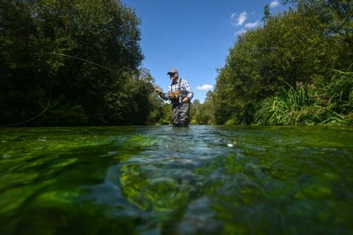 Bob Wellard, directeur de la Piscatorial Society, pêche à la mouche le 25 août 2026 dans la rivière Itchen, en Angleterre — Justin TALLIS / AFP