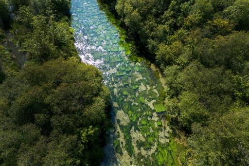 Vue aérienne du Candover Brook, un cours d’eau crayeux affluent de la rivière Itchen, près de Winchester, en Angleterre, le 25 août 2026 — Justin TALLIS / AFP