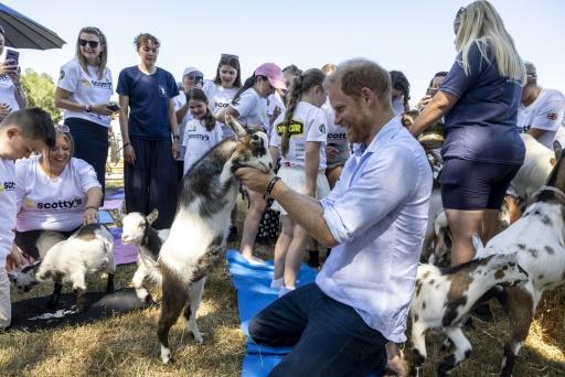 El príncipe Enrique participa en una sesión de yoga con cabras en Birmingham, en el centro de Inglaterra, el 11 de julio de 2026 — Heathcliff O'MALLEY / AFP