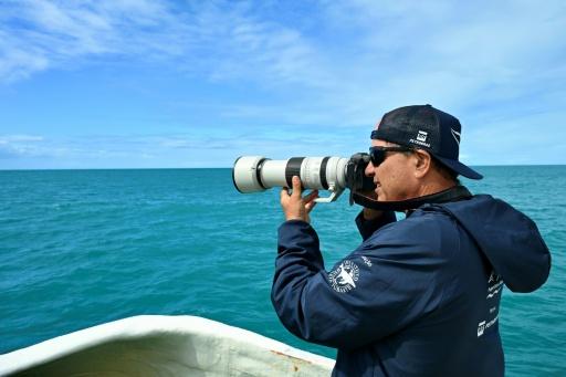 Enrico Marcovaldi, investigador y subdirector del Instituto Baleia Jubarte, toma fotografías a ballenas desde un catamarán científica en el archipiélago de Abrolhos, estado de Bahia, Brasil, el 18 de agosto de 2026 — Evaristo Sa / AFP