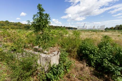 Anger in Austria over business park on former Nazi camp site