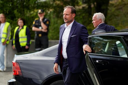 Norvège: Haakon, populaire héritier d'une monarchie fragilisée