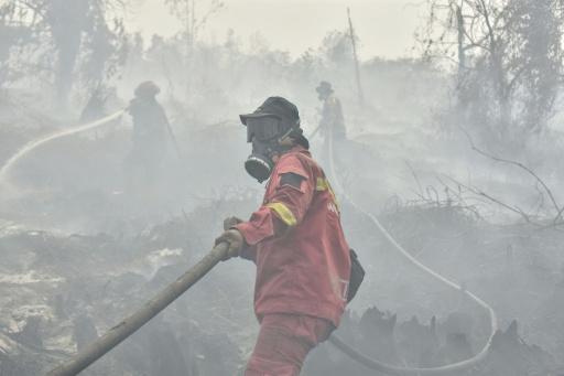 Indonesia is battling wildfires that are contributing to extensive haze, dousing fires with millions of litres of water and seeding clouds to trigger rain — WAHYUDI / AFP