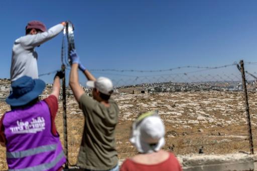 Des militants juifs pour la paix installent du fil barbelé pour ériger une barrière de protection autour d'une propriété palestinienne dans le village palestinien de Jannatah, situé en Cisjordanie occupée,  au sud de Bethléem, le 25 août 2026 — Ilia YEFIMOVICH / AFP
