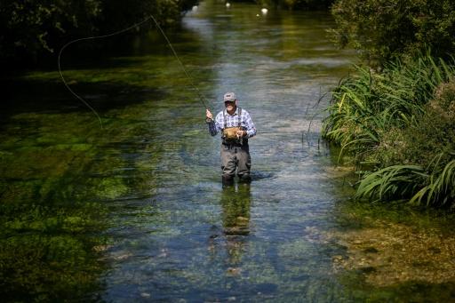 Truchas y salmones, tesoros de los ríos ingleses amenazados por el calentamiento climático
