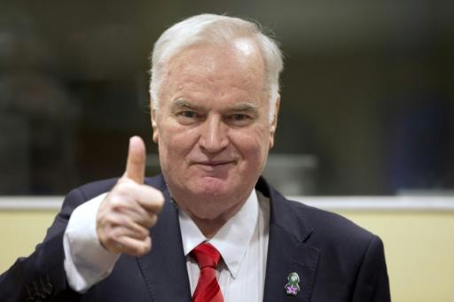 Ratko Mladic, l'ex-chef militaire des Serbes de Bosnie, lors de son procès au tribunal de La Haye, le 22 novembre 2017 — Peter Dejong / AFP