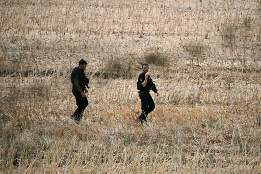 Des gendarmes dans un champ près du site où sont menées des recherches pour retrouver le corps de Delphine Aussaguel, le 16 juillet 2026 à Villenue-sur-Vère, dans le Tarn — Lionel BONAVENTURE / AFP