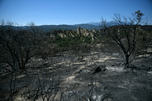 Des moyens aériens supplémentaires pour contenir l'incendie des Pyrénées-Orientales