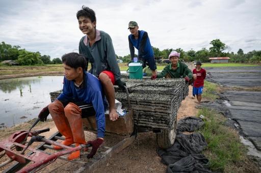 'Don't have to hide': Thai IDs, legal work give hope to Myanmar refugees
