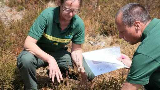Dans les forêts, l'ONF mesure la sécheresse des végétaux pour prévenir les incendies