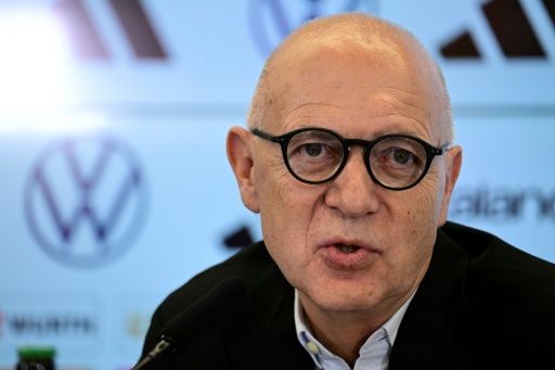 الاتحاد الألماني يدعو إلى تحقيق شامل في مقترح فيفا
