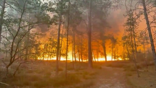 Incêndio devasta a floresta de Fontainebleau