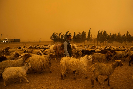 Dust in the wind: intense storms struck China, US in 2025, says UN