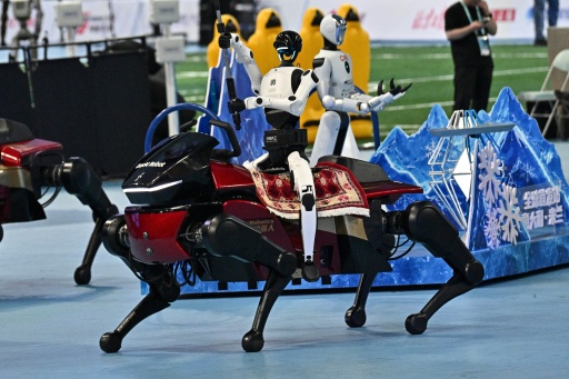 Des robots humanoïdes aux World Humanoid Robot Games à Pékin le 22 août 2026 — Pedro PARDO / AFP