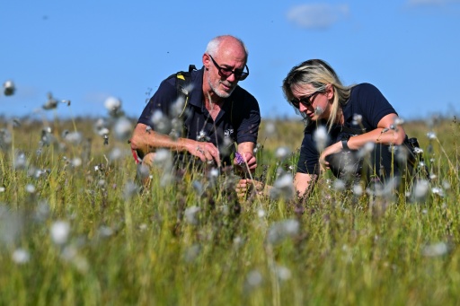 Rothbury Estate conservation specialist Duncan Hutt and Katy Barke, head of nature recovery at Northumberland Wildlife Trust, hope to preserve the area's biodiversity — Andy BUCHANAN / AFP