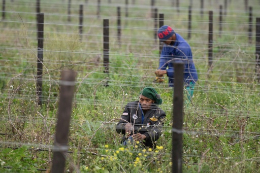 Many South African employers favour migrant workers because they are cheaper, more flexible and less demanding — RODGER BOSCH / AFP