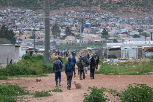 There are calls for a regulated seasonal labour programme drawing workers from the region — RODGER BOSCH / AFP