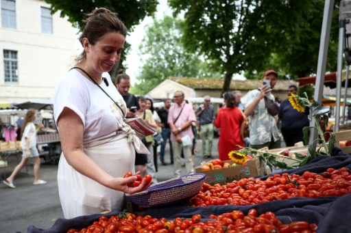 Tondelier is also pushing for access to assisted reproductive technology — ROMAIN PERROCHEAU / AFP