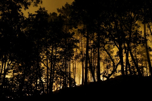 Un incendio arrasa el bosque de Fontainebleau, cerca de París