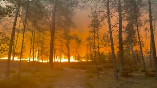 Un  incendio arrasa el bosque de Fontainebleau, cerca de París