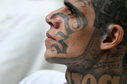 Amnesty warns of 'crimes against humanity' in El Salvador jails