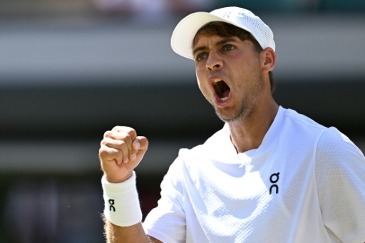 Britain's Fery stuns Dimitrov, Paolini into Wimbledon quarters