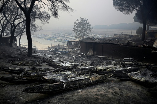 Incêndio florestal atinge cerca de 4.000 hectares no sudoeste da Espanha