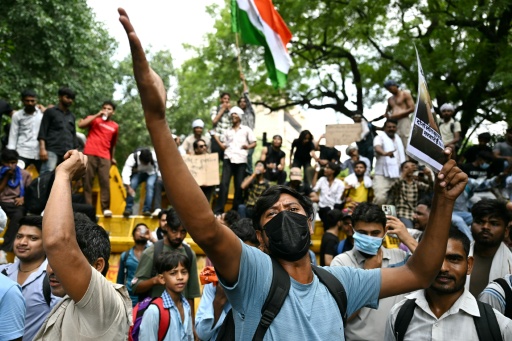 Un partisan du "parti du peuple des cafards" (CJP) scande des slogans à New Delhi, le 23 juillet 2026, lors de la poursuite de la manifestation réclamant la démission du ministre indien de l’Éducation — Sajjad HUSSAIN / AFP