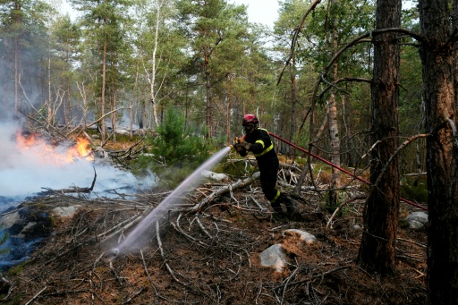 Fire ravages popular forest outside Paris