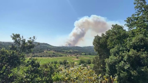 Un nouvel incendie dans les Pyrénées-Orientales, près de 1.000 hectares parcourus