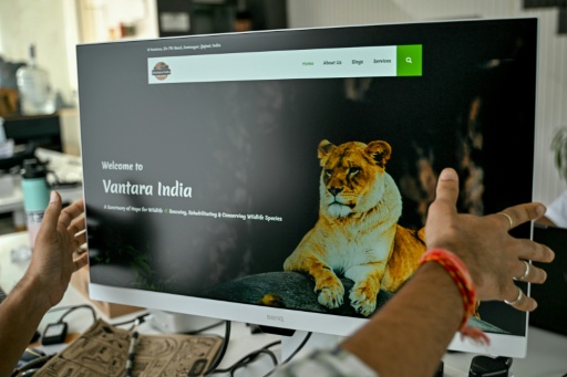 Le méga-zoo Vantara du fils d'un magnat indien annonce un changement de cap