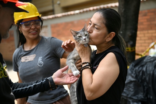 "Un rêve qui se réalise": des sinistrés retrouvent leur animal de compagnie après le séisme en Colombie