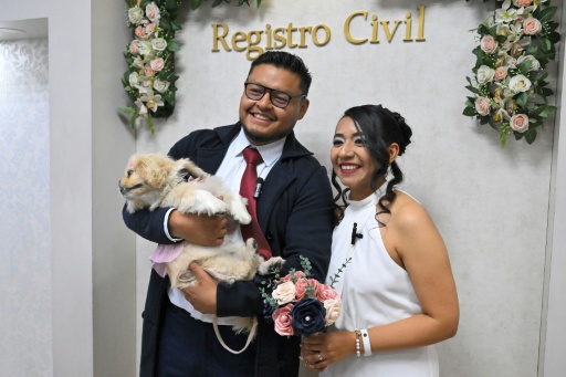 Perros y gatos: testigos simbólicos de las bodas civiles en Ecuador