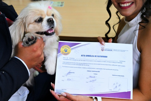 Andrés Alquinga y Diana Tupiza muestran su acta simbólica de matrimonio, con la pata estampada de su perra Luna, el 7 de julio de 2026 en el Registro Civil Central de Quito