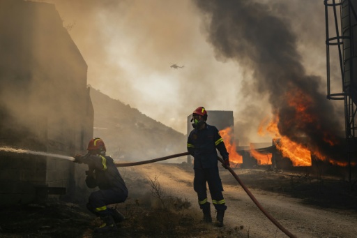 Firemen work to extinguish a blaze that broke out at a livestock facility near Kouvaras, south of Athens, on August 10, 2026 — Aris MESSINIS / AFP