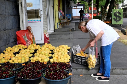 Armenian apricots become geopolitical battleground with Russia