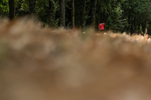 Le 13 juillet 2026, en pleine vague de chaleur, un joggeur passe devant de la végétation desséchée dans le Bois de Vincennes, à l'est de Paris — Martin LELIEVRE / AFP