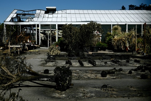 'Not out of danger': Residents return to scorched French village