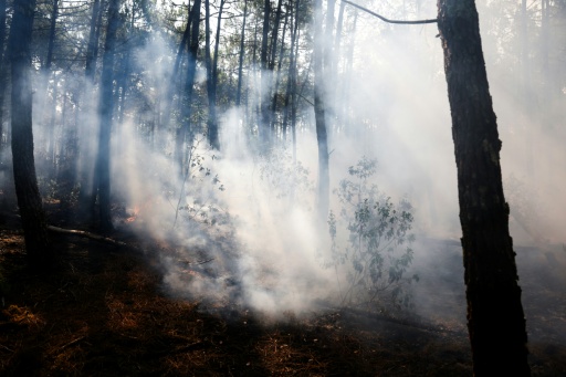 De la fumée s'élève dans une forêt de Lège-Cap-Ferret, le 29 juillet 2026. — ROMAIN PERROCHEAU / AFP