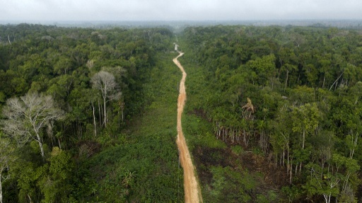 Abholzung im Amazonas auf niedrigstem Stand seit einem Jahrzehnt