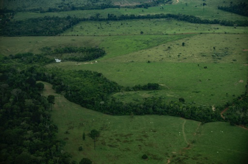 Brasil perde cobertura de vegetação nativa e enfrenta risco de impacto maior do El Niño