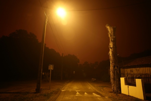 Un incendie de forêt fait rage près de Luglon, dans les Landes, le 13 août 2026 — ROMAIN PERROCHEAU / AFP