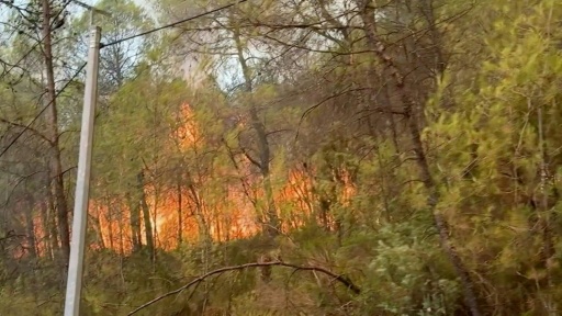 Incendie: feu "contenu" dans le Var — Viken KANTARCI / AFP