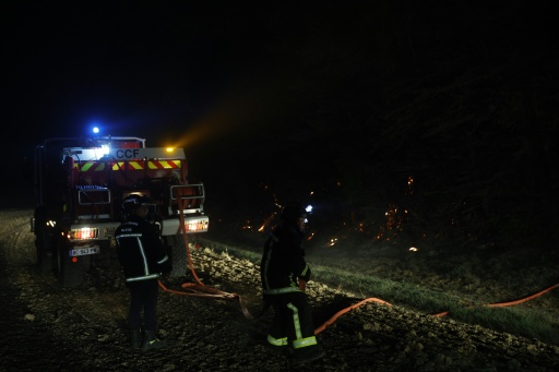 Incendie en forêt de Fontainebleau, à Noisy-sur-Ecole, le 13 juillet 2026