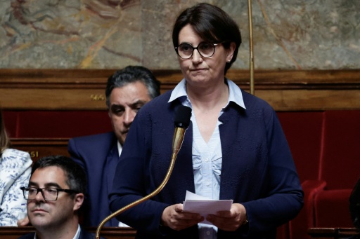 Incendies: "les moyens ne sont plus à la hauteur des besoins", alerte une rapporteure parlementaire