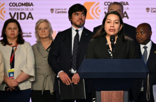 Carolyn Rodrigues-Birkett (R) is currently Guyana's ambassador to the United Nations — Raul ARBOLEDA / AFP