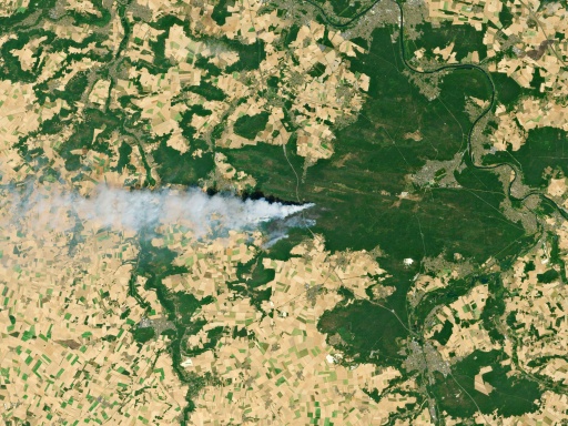 Incêndio prossegue na floresta de Fontainebleau, perto de Paris