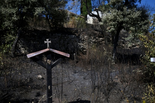 Reprises d'un incendie et nouveaux départs de feu dans le Var