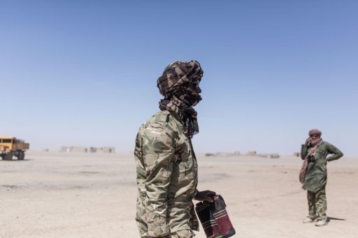 Mindestens 50 Soldaten in Mali bei Dschihadisten-Angriff getötet